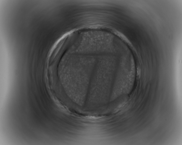 X0000083570724200703091637