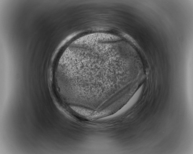 X0000083570726200703091637