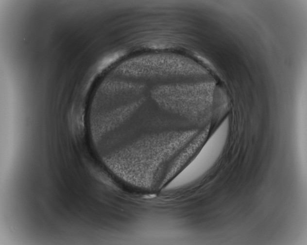 X0000083570727200703091637