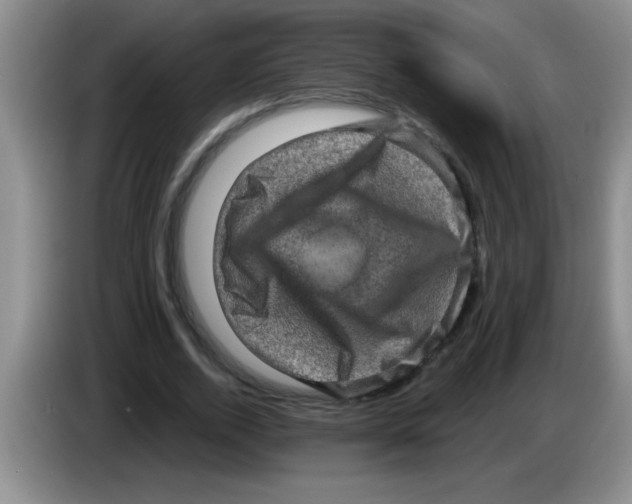 X0000083570728200703091637