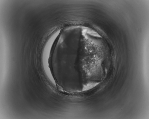 X0000083570729200703091637