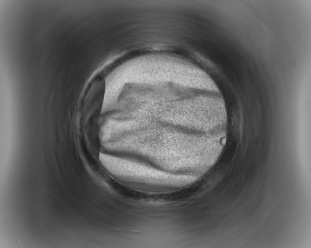 X0000083570730200703091637