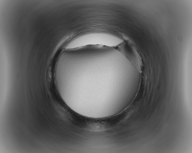 X0000083570731200703091637