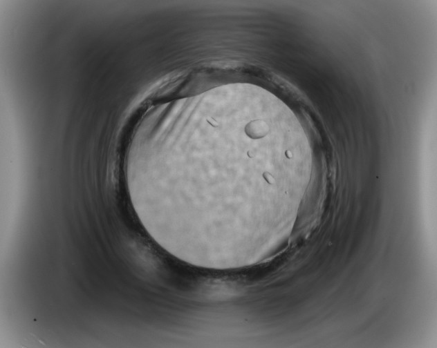 X0000083570732200703091637