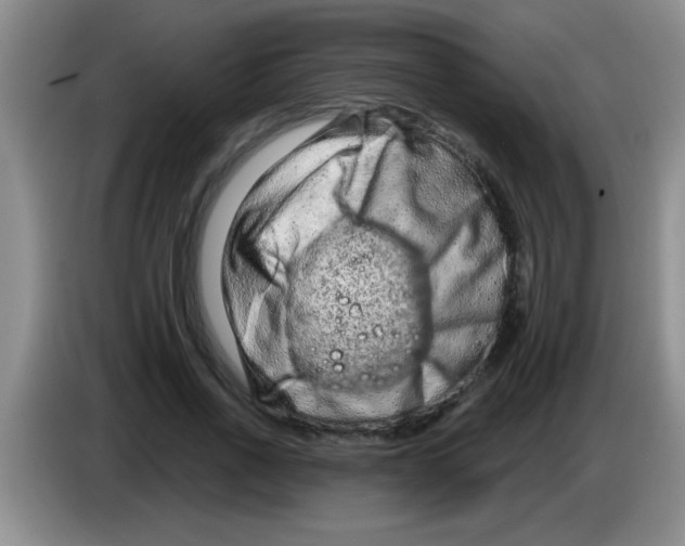 X0000083570734200703091637