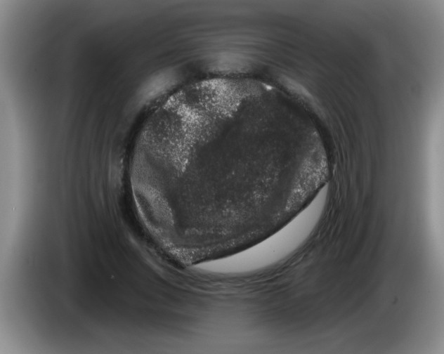 X0000083570735200703091637