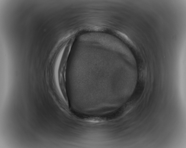 X0000083570736200703091637