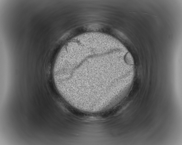 X0000083570737200703091637