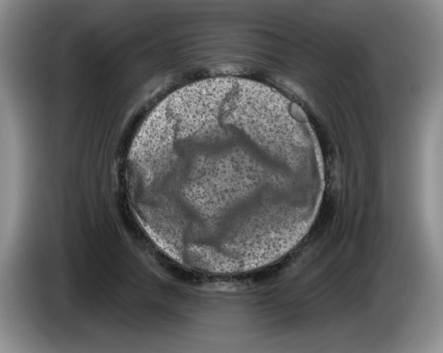 X0000083570738200703091637