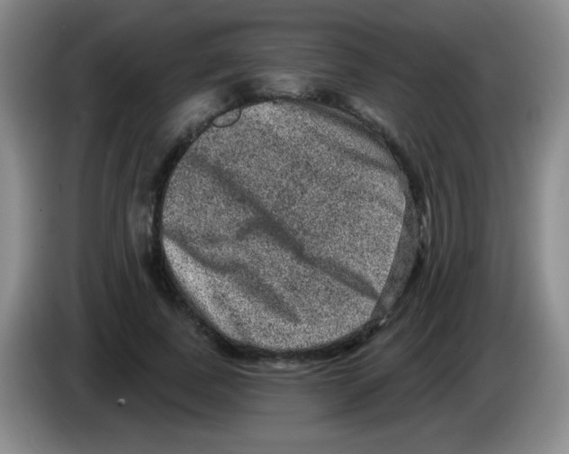 X0000083570739200703091637