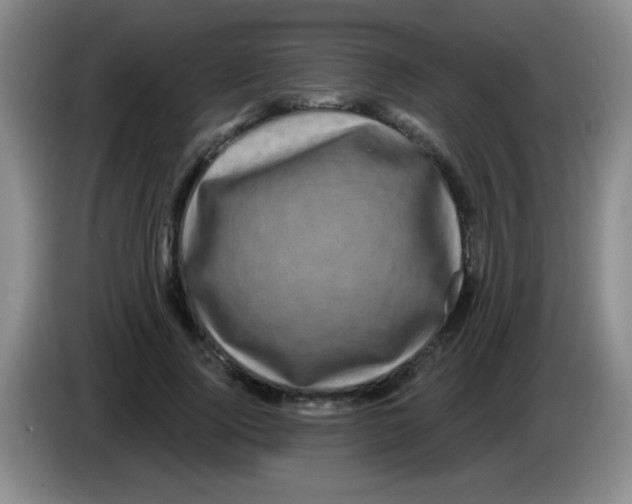 X0000083570740200703091637