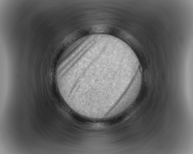X0000083570741200703091637
