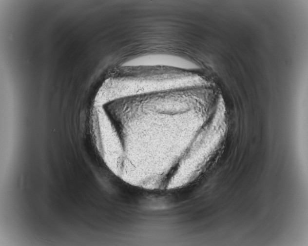 X0000083570742200703091637