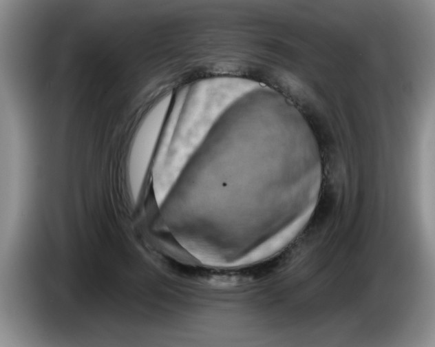 X0000083570744200703091637