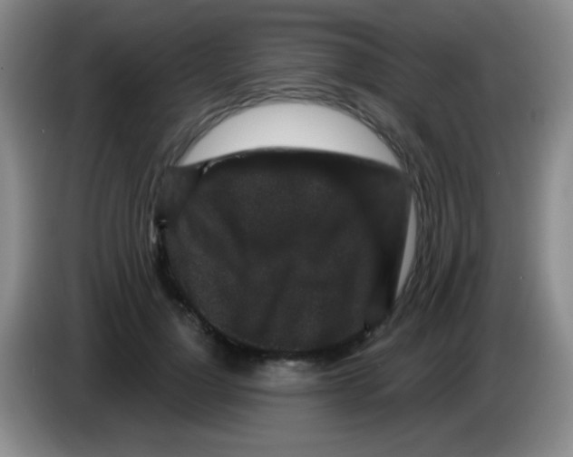 X0000083570748200703091637