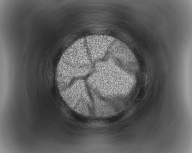 X0000083570749200703091637