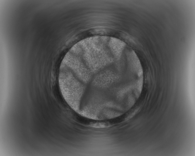 X0000083570751200703091637