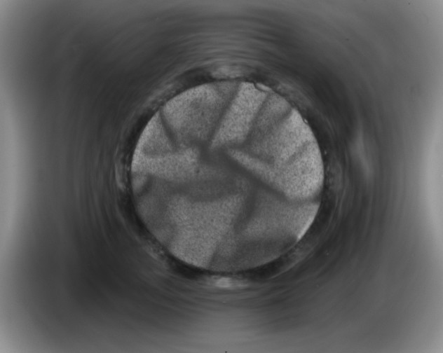 X0000083570755200703091637