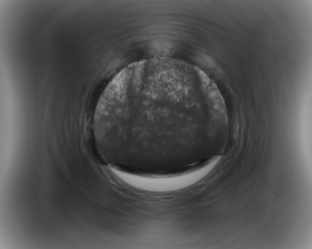 X0000083570759200703091637