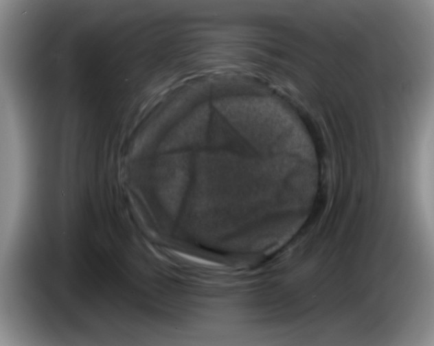 X0000083570760200703091637