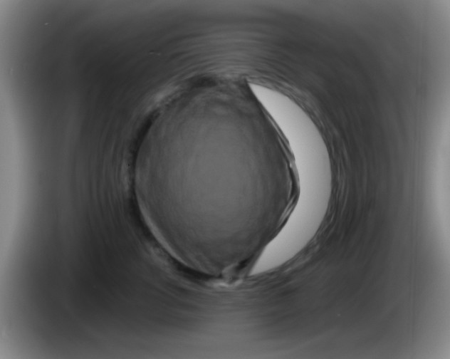 X0000083570762200703091637
