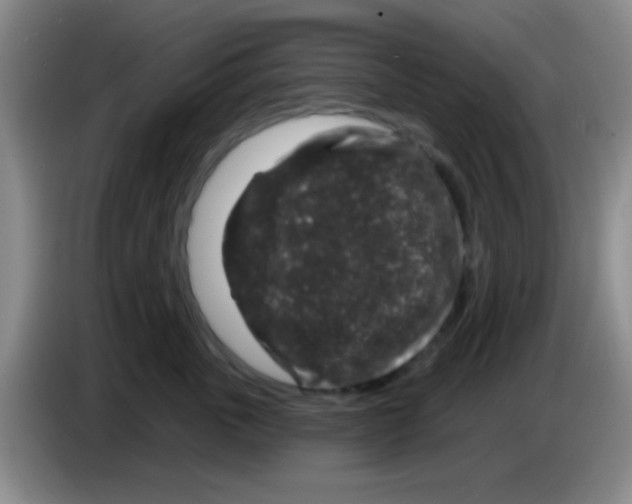 X0000083570763200703091637