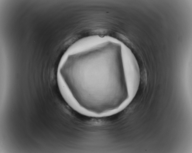 X0000083570764200703091637
