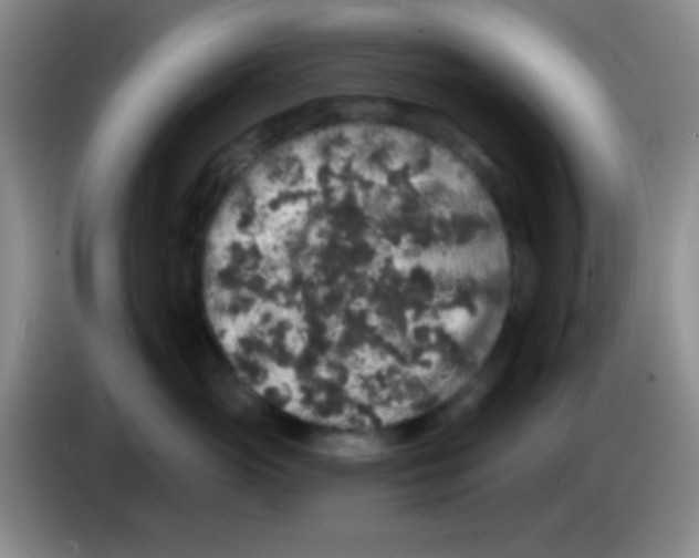 X0000083570765200703091637