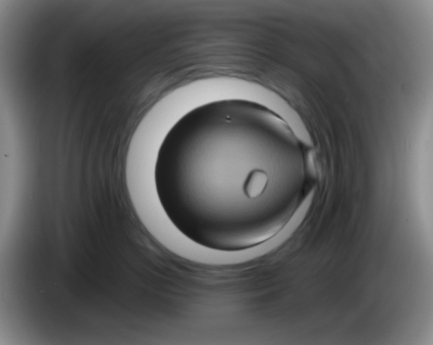 X0000083570766200703091637