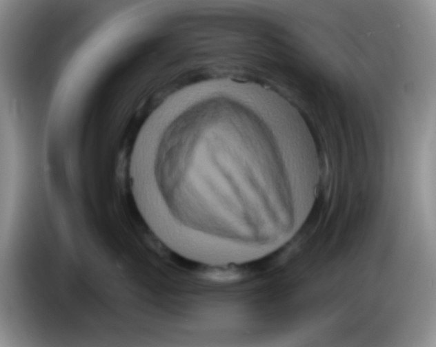 X0000083570767200703091637