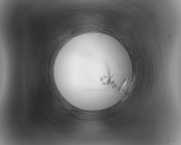 X0000083570768200703091637