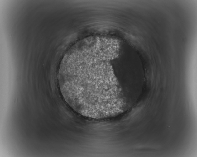X0000083570769200703091637