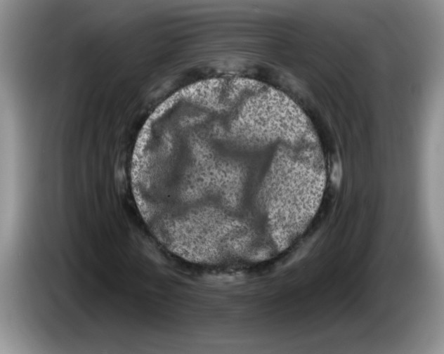 X0000083570771200703091637