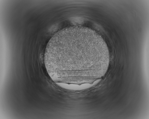 X0000083570772200703091637