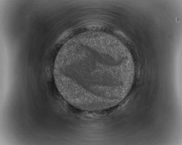 X0000083570774200703091637