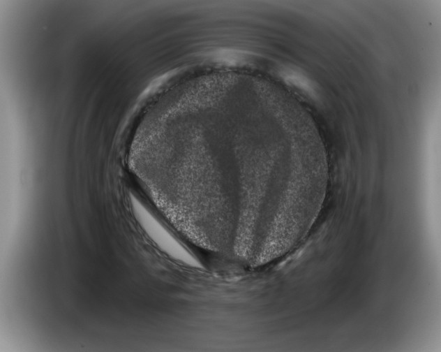 X0000083570776200703091637