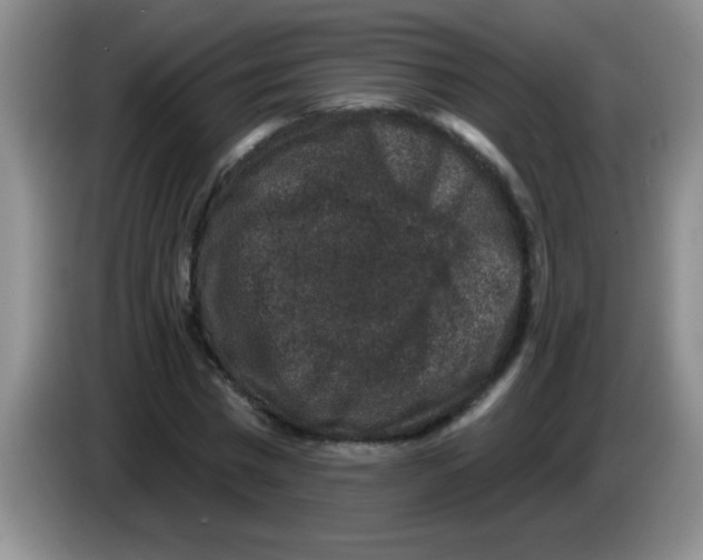 X0000083570777200703091637