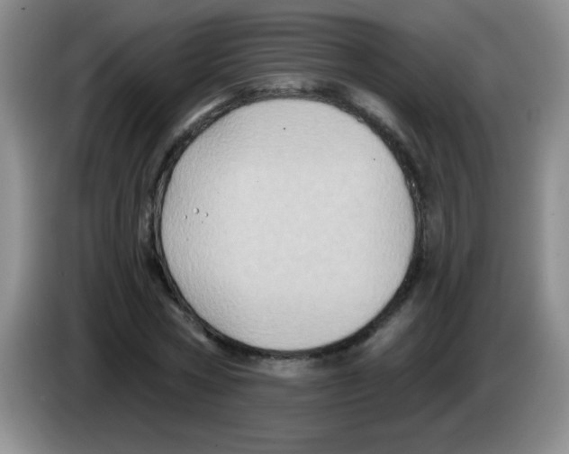 X0000083570778200703091637