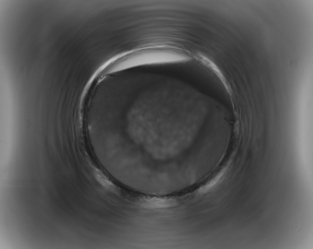 X0000083570779200703091637