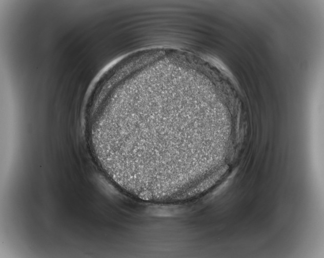 X0000083570780200703091637