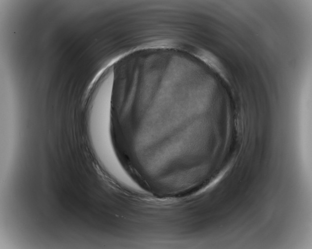 X0000083570781200703091637
