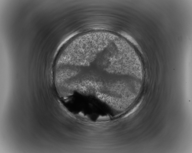X0000083570782200703091637