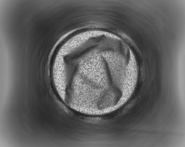 X0000083570784200703091636