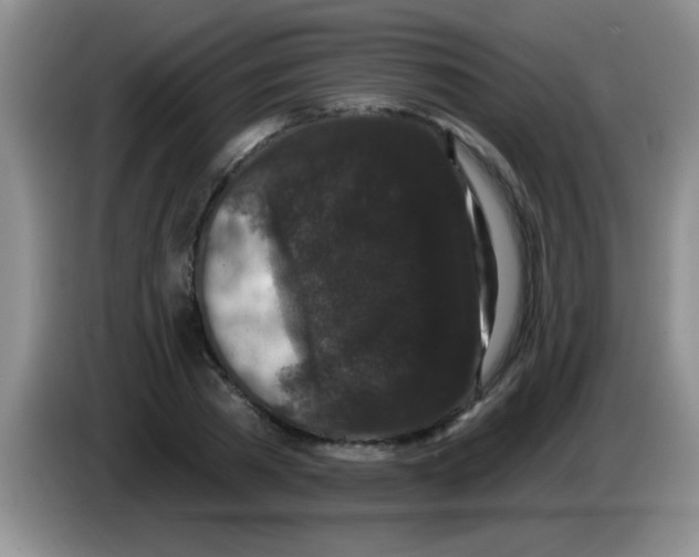X0000083570785200703091636