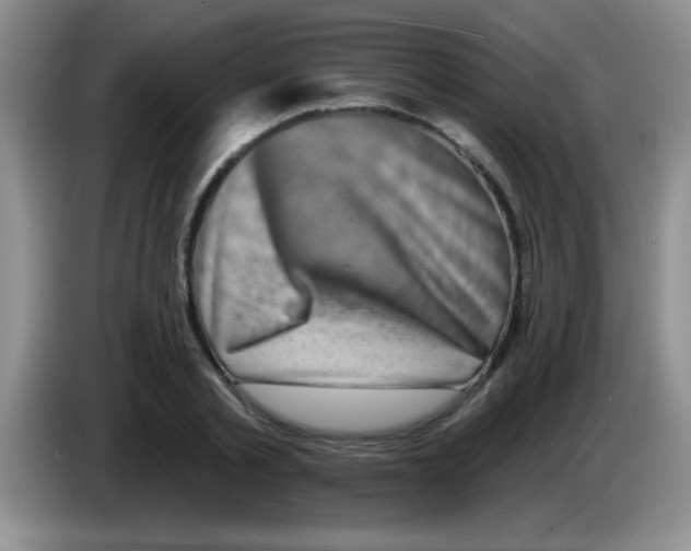 X0000083570789200703091636