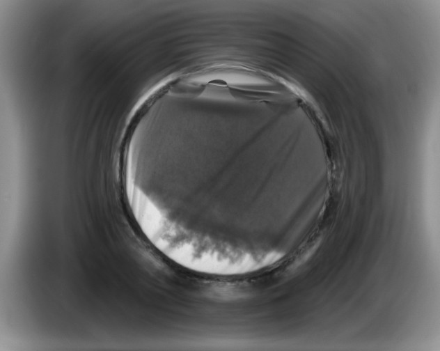 X0000083570790200703091636