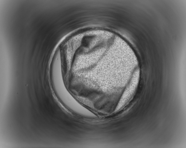 X0000083570791200703091636
