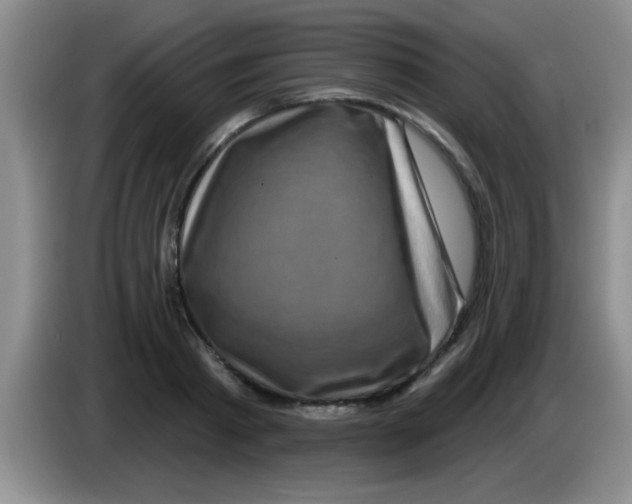 X0000083570793200703091636