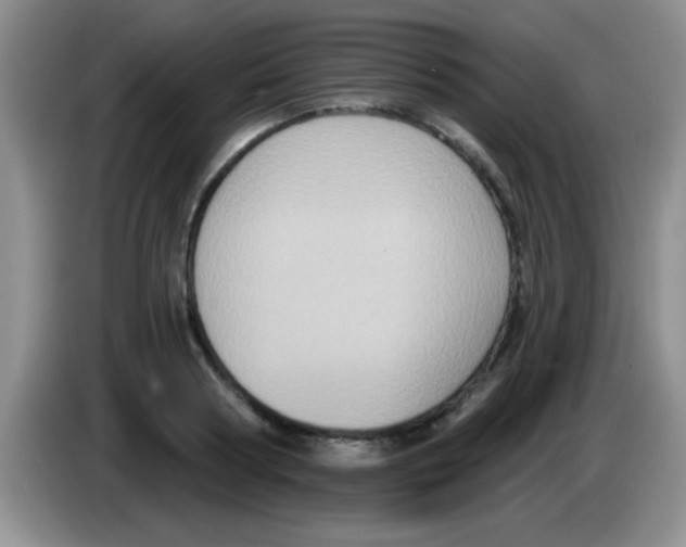 X0000083570794200703091636