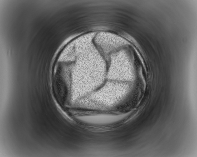 X0000083570795200703091636